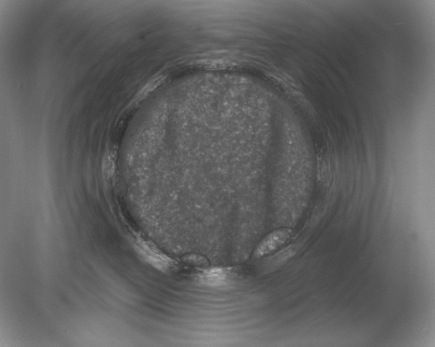 X0000078890382200612111811