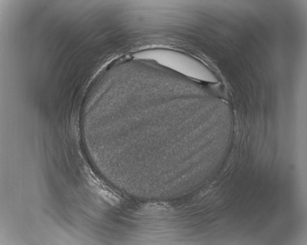 X0000078890386200612111811