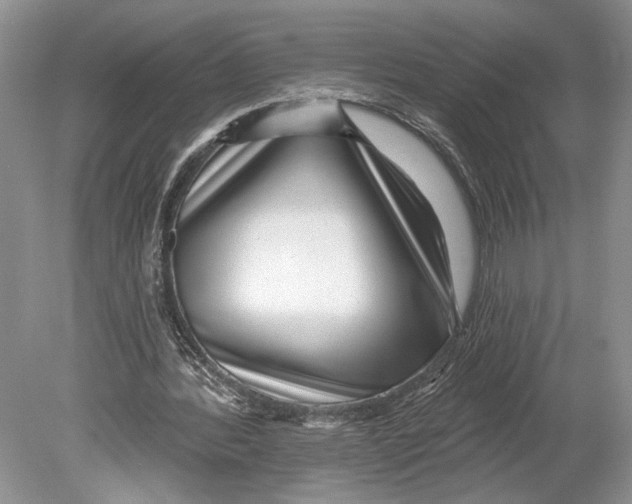 X0000078890388200612111811