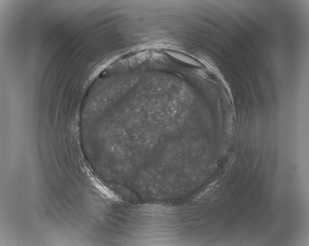 X0000078890389200612111811