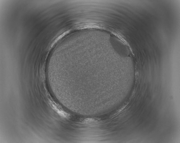 X0000078890390200612111811