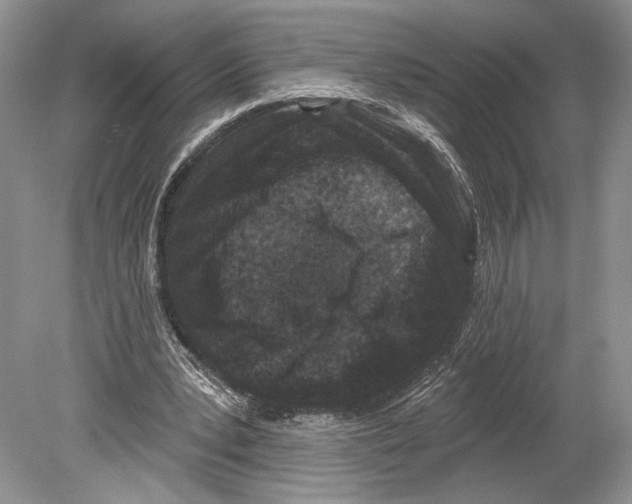 X0000078890391200612111811