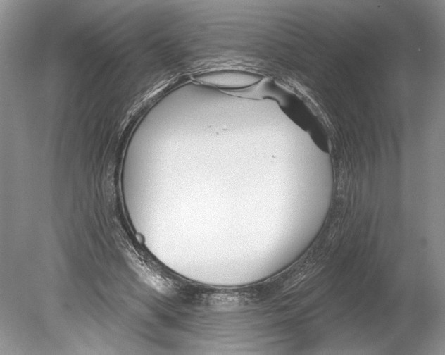 X0000078890394200612111811