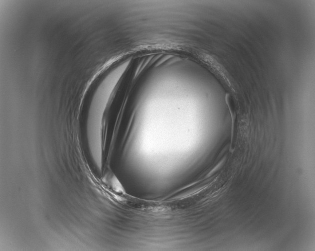 X0000078890395200612111811