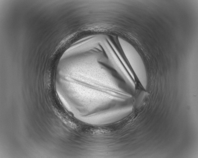 X0000078890400200612111810