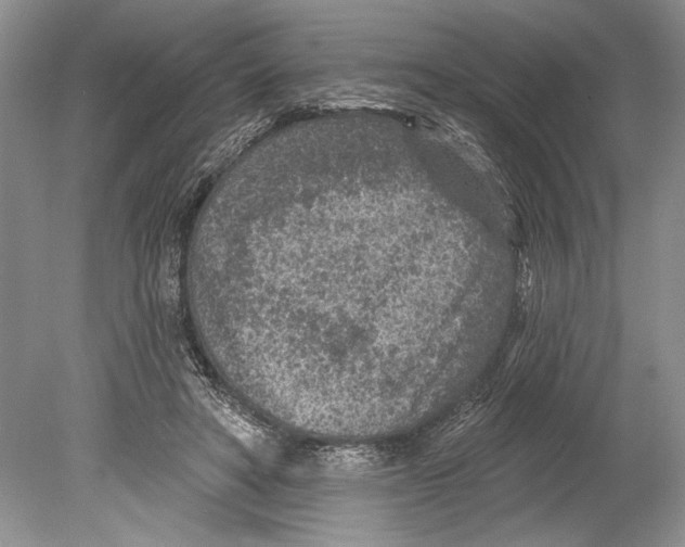 X0000078890402200612111810