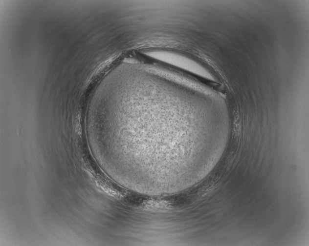 X0000078890403200612111810