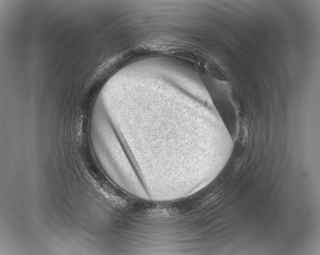 X0000078890404200612111810