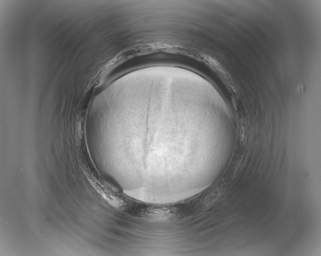 X0000078890405200612111810