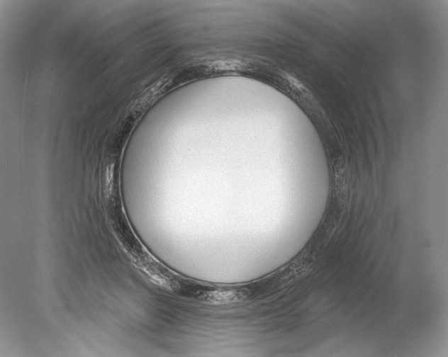 X0000078890406200612111810