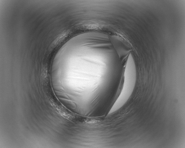 X0000078890407200612111810