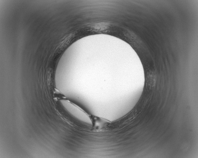 X0000078890412200612111810