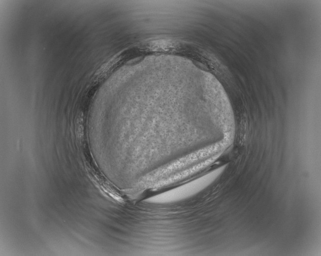 X0000078890413200612111810