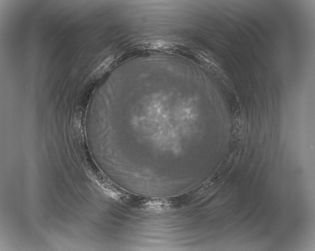 X0000078890415200612111810