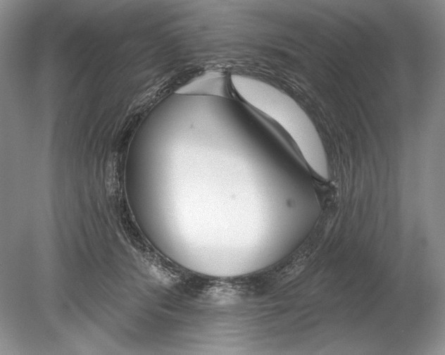 X0000078890416200612111810