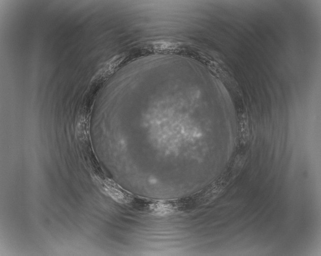 X0000078890419200612111810