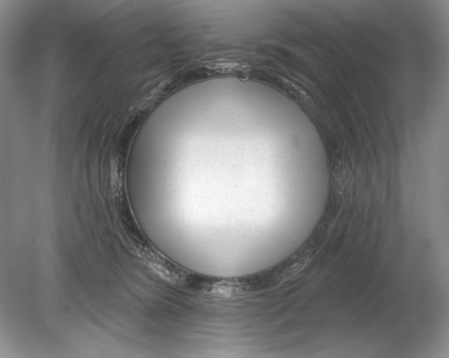 X0000078890420200612111810