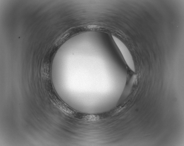 X0000078890421200612111810