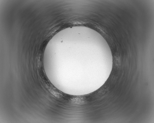 X0000078890422200612111810