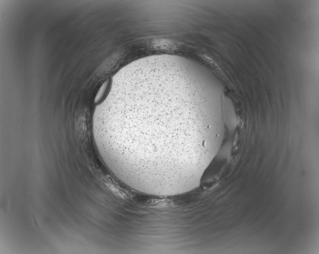 X0000078890424200612111810