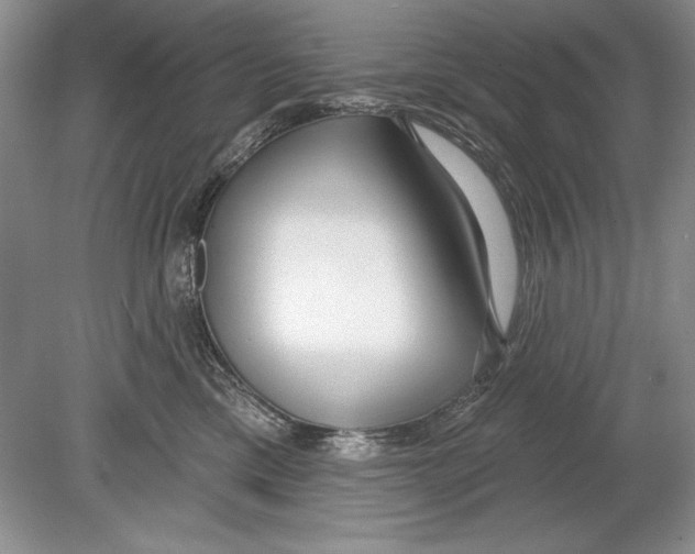 X0000078890425200612111810