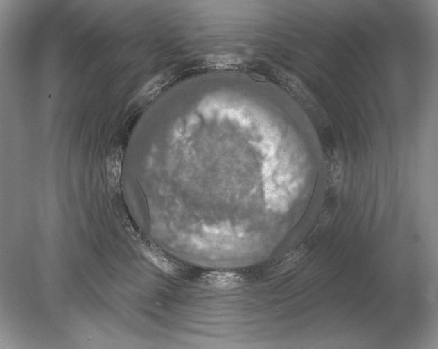 X0000078890427200612111810