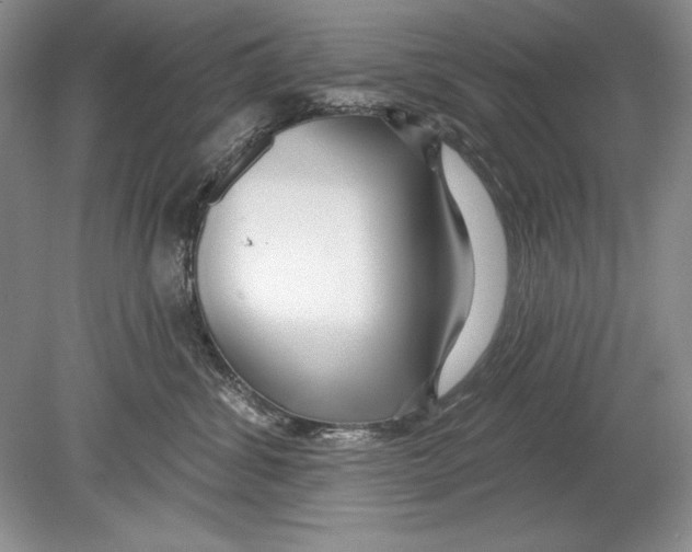 X0000078890428200612111810