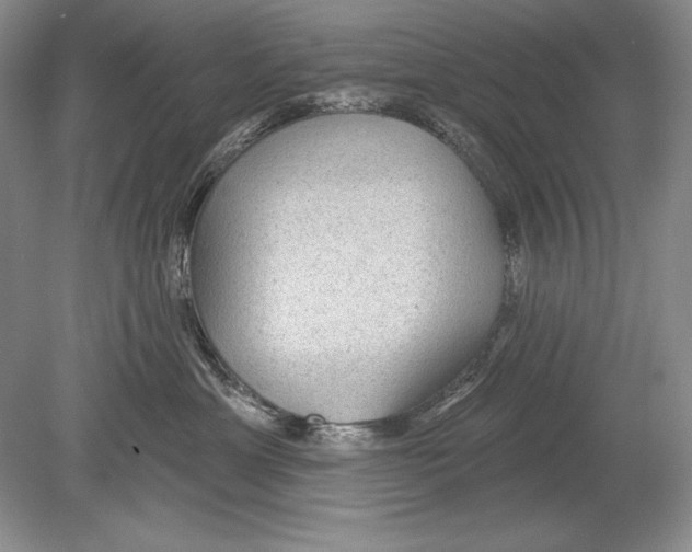 X0000078890429200612111810