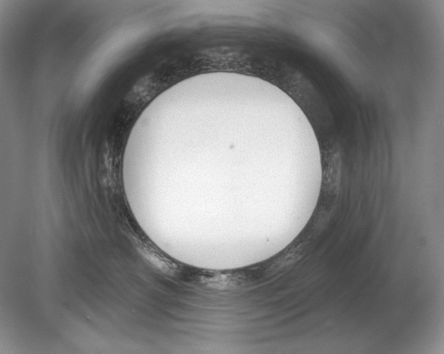 X0000078890430200612111810