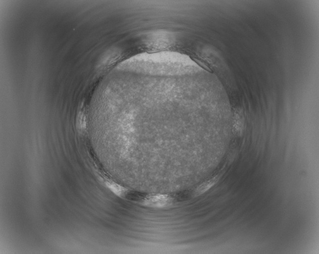 X0000078890431200612111810