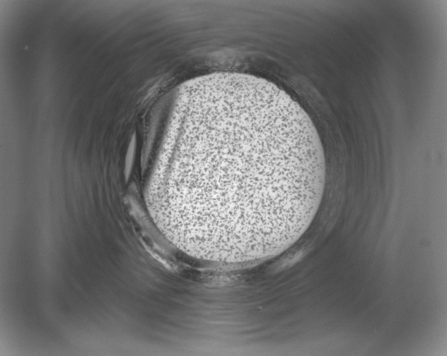 X0000078890432200612111810