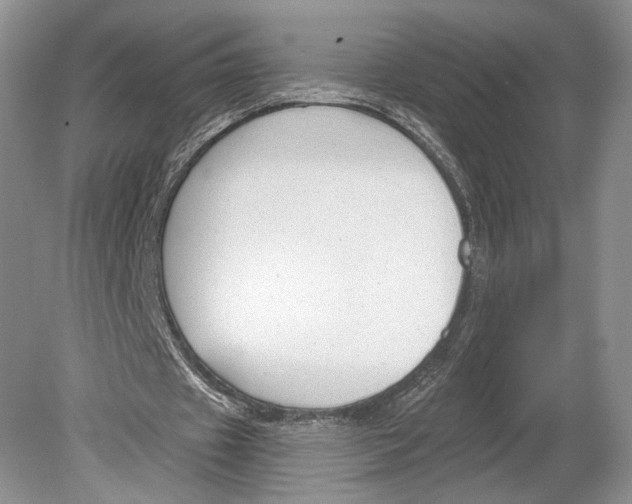 X0000078890433200612111809