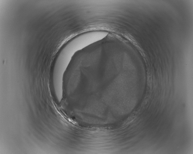 X0000078890434200612111809