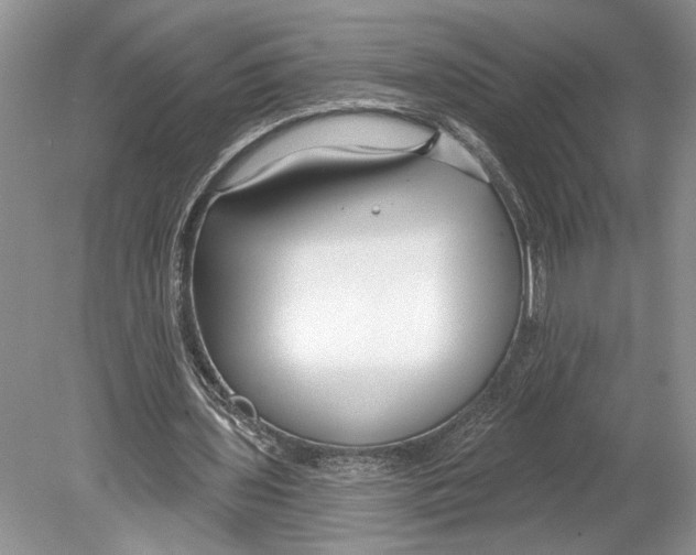 X0000078890435200612111809