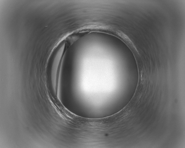 X0000078890436200612111809