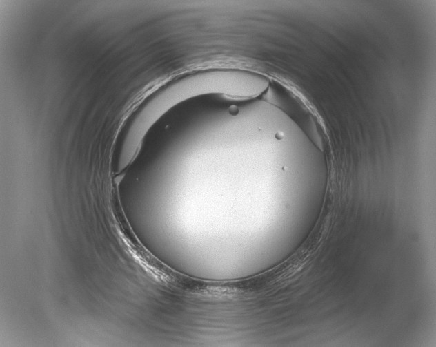 X0000078890437200612111809