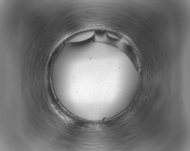 X0000078890439200612111809