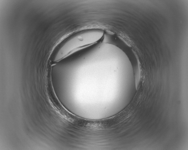 X0000078890440200612111809