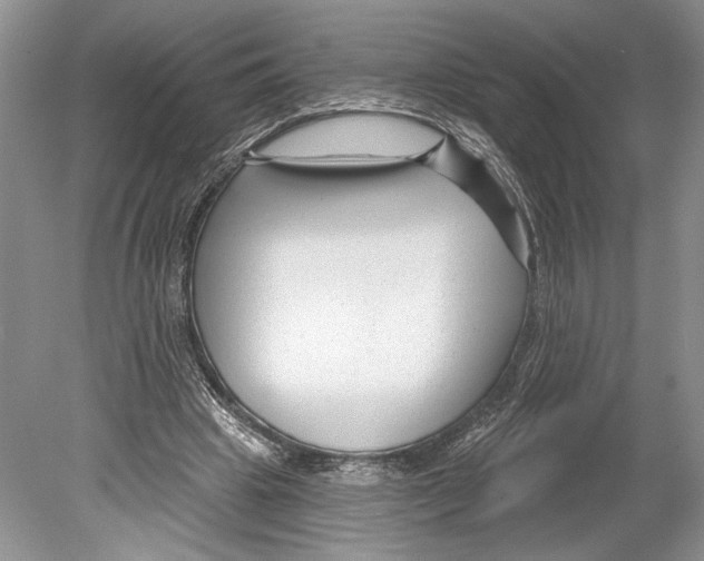 X0000078890441200612111809