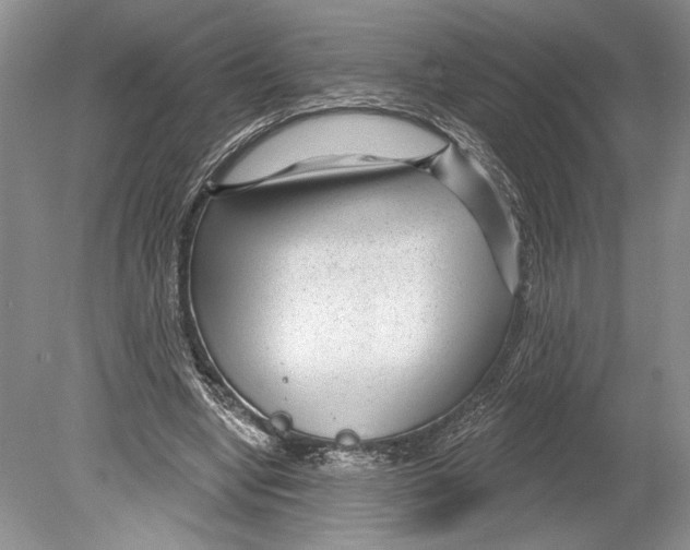 X0000078890442200612111809