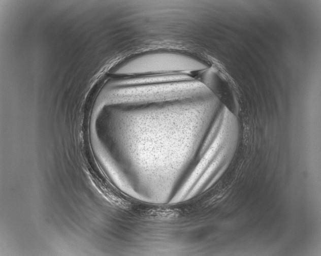 X0000078890443200612111809