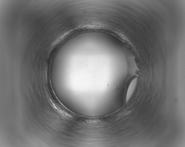 X0000078890446200612111809