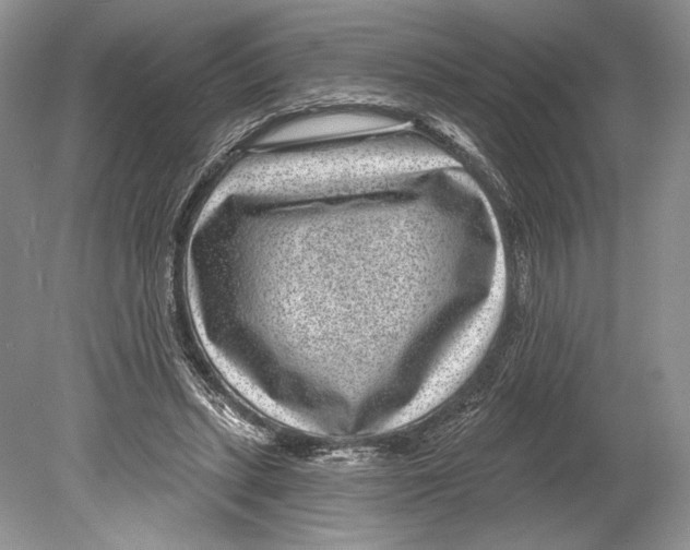 X0000078890447200612111809