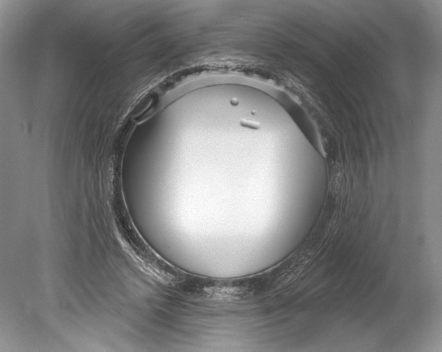 X0000078890448200612111809