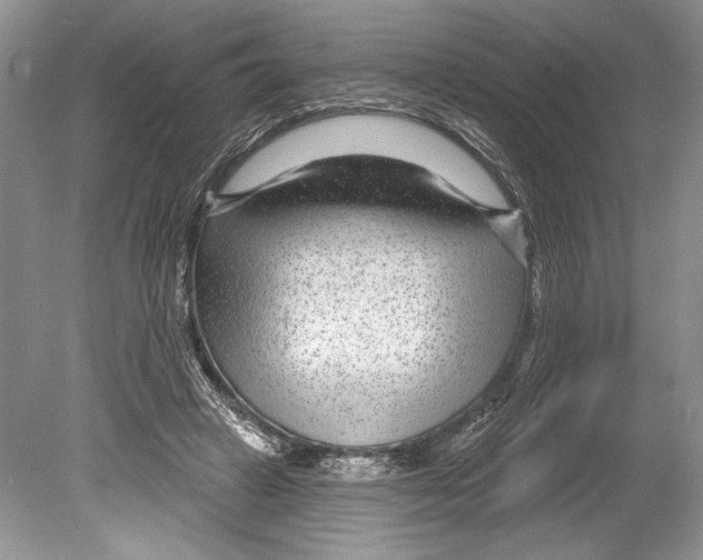 X0000078890449200612111809