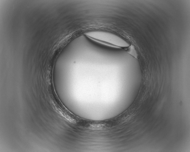 X0000078890450200612111809