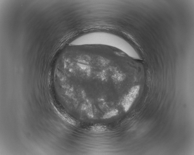 X0000078890451200612111809