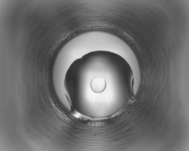 X0000078890452200612111809