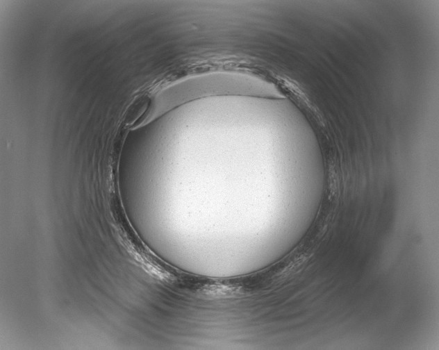 X0000078890453200612111809