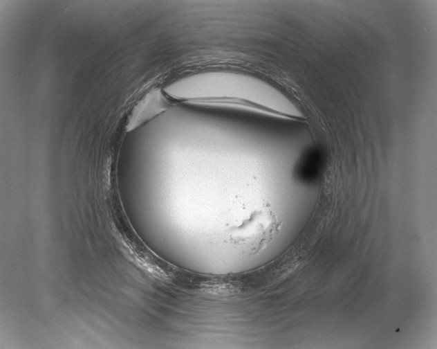 X0000078890454200612111809